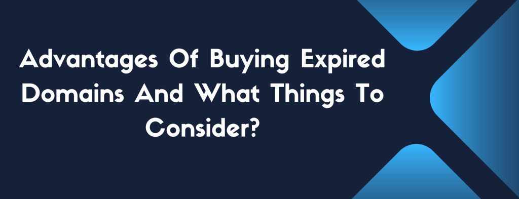 Advantages Of Buying Expired Domains And What Things To Consider?